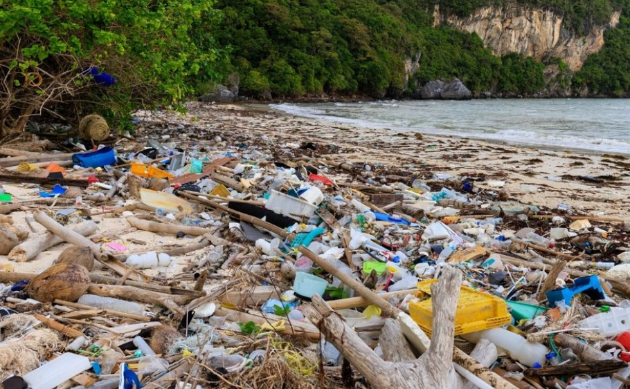 Shocking facts about plastic pollution that you can’t ignore